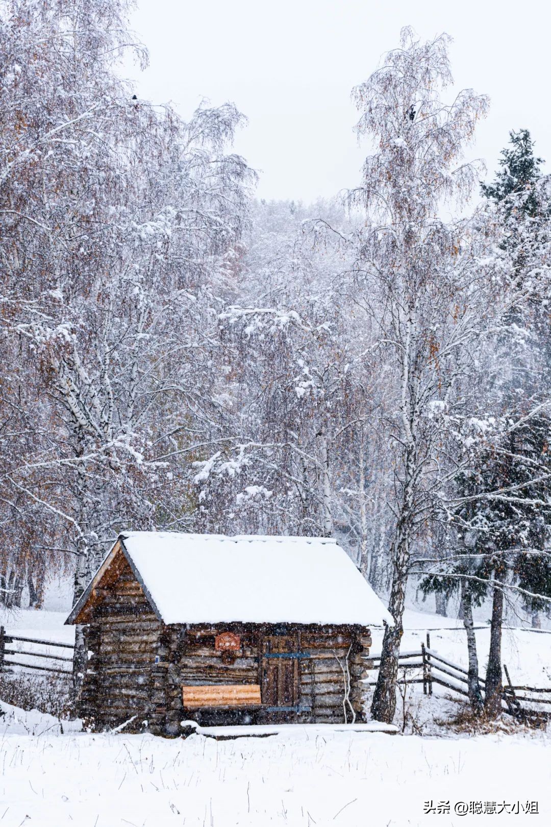 *疆新**，美到封神！配得上“她”的民宿有多少？