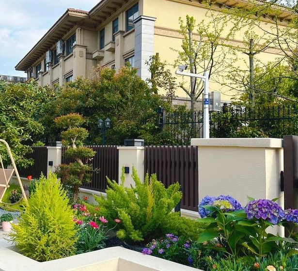 蚂蚁最害怕什么怎样才能驱赶,蚂蚁最怕什么怎么治蚂蚁