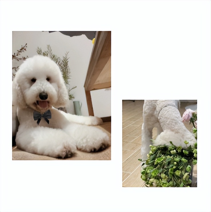 龙泉滨河路,龙泉中山路美景