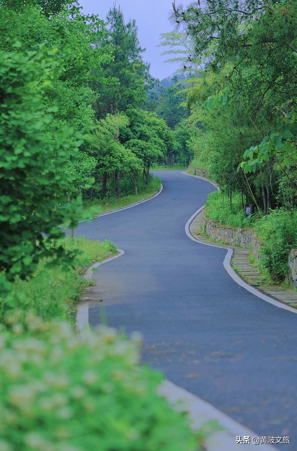 武汉夏天自驾游推荐,夏日避暑武汉出发3-5天自由行攻略