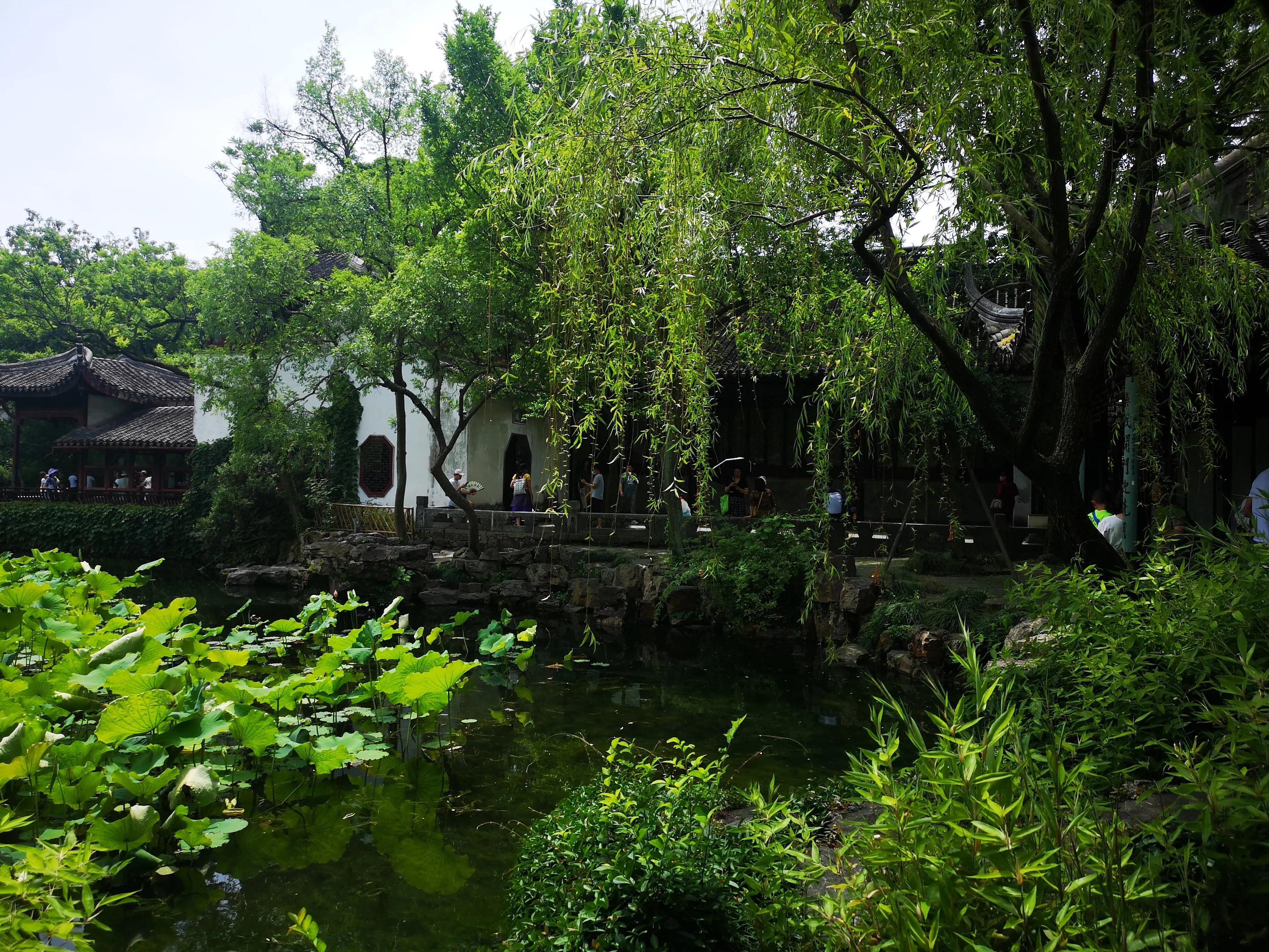 苏州拙政园园林艺术作品赏析,苏州园林拙政园美学鉴赏