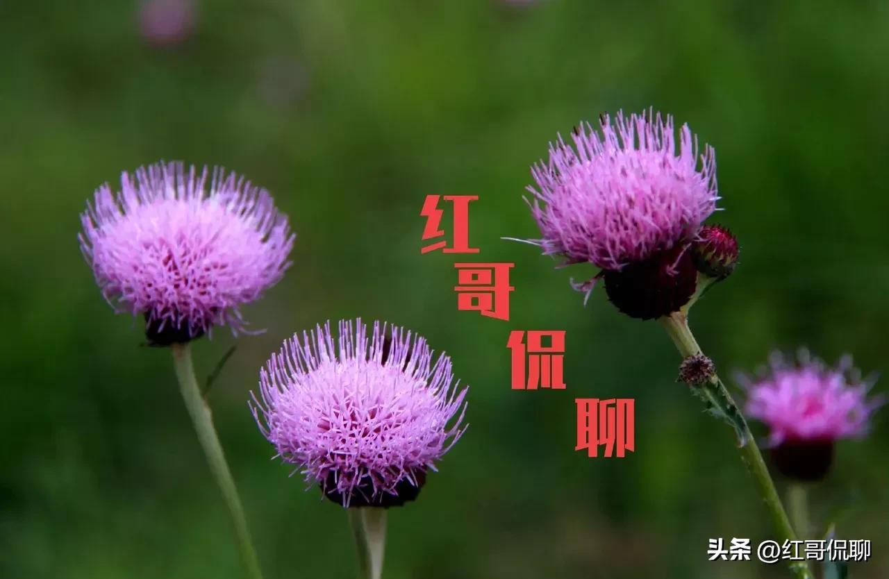 资本市场报酬率公式,资本市场定价技巧