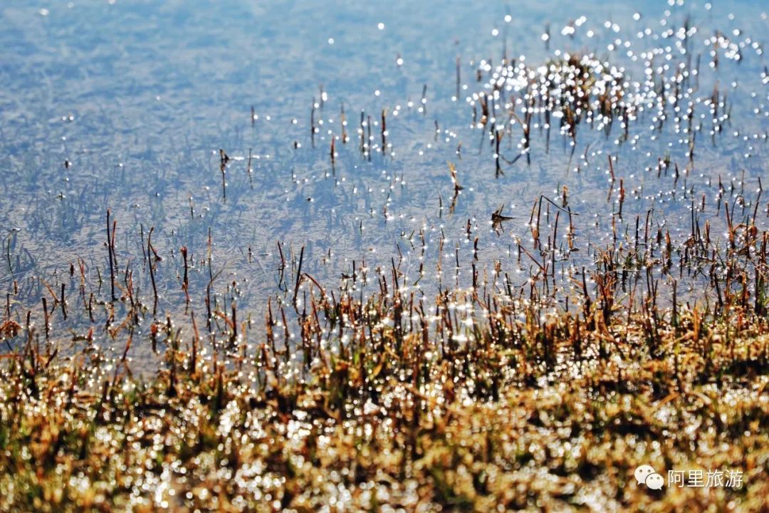 *藏西**不靠海,也能坐拥顶级颜值?靠的是“一措再措”!