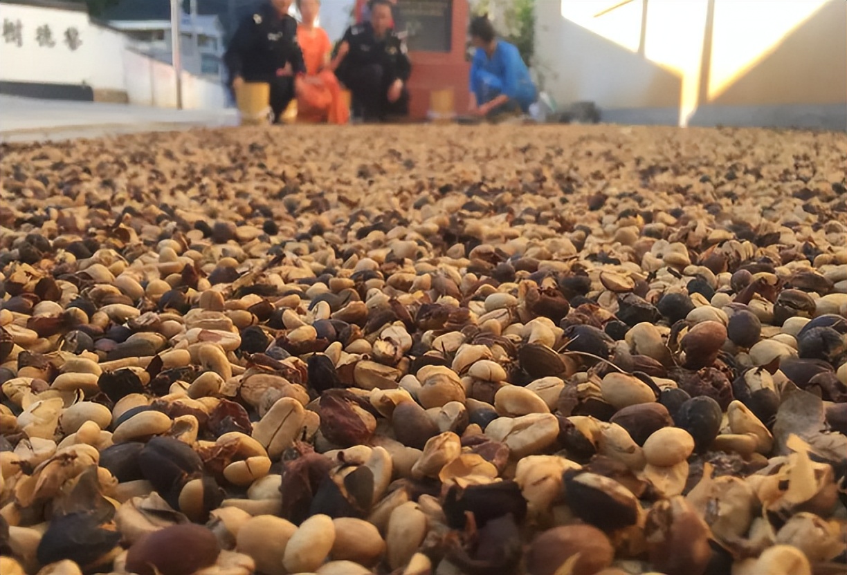 有一种叫云南的生活,有一种生活叫云南的生活