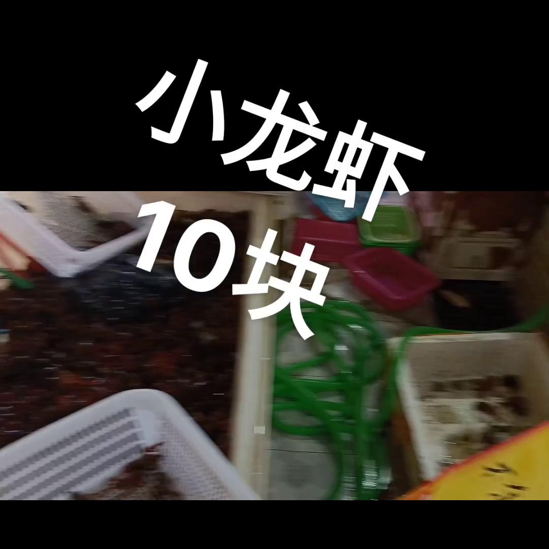 湖北什么季节盛产小龙虾,江苏小龙虾几月份开始上市