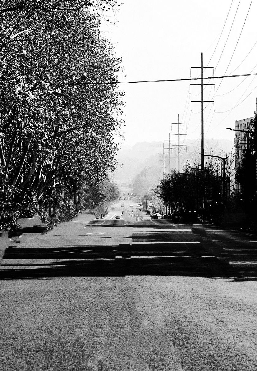 南师大校友作品特刊·散文篇｜徐陆：难忘的大坡，回不去的卫岗