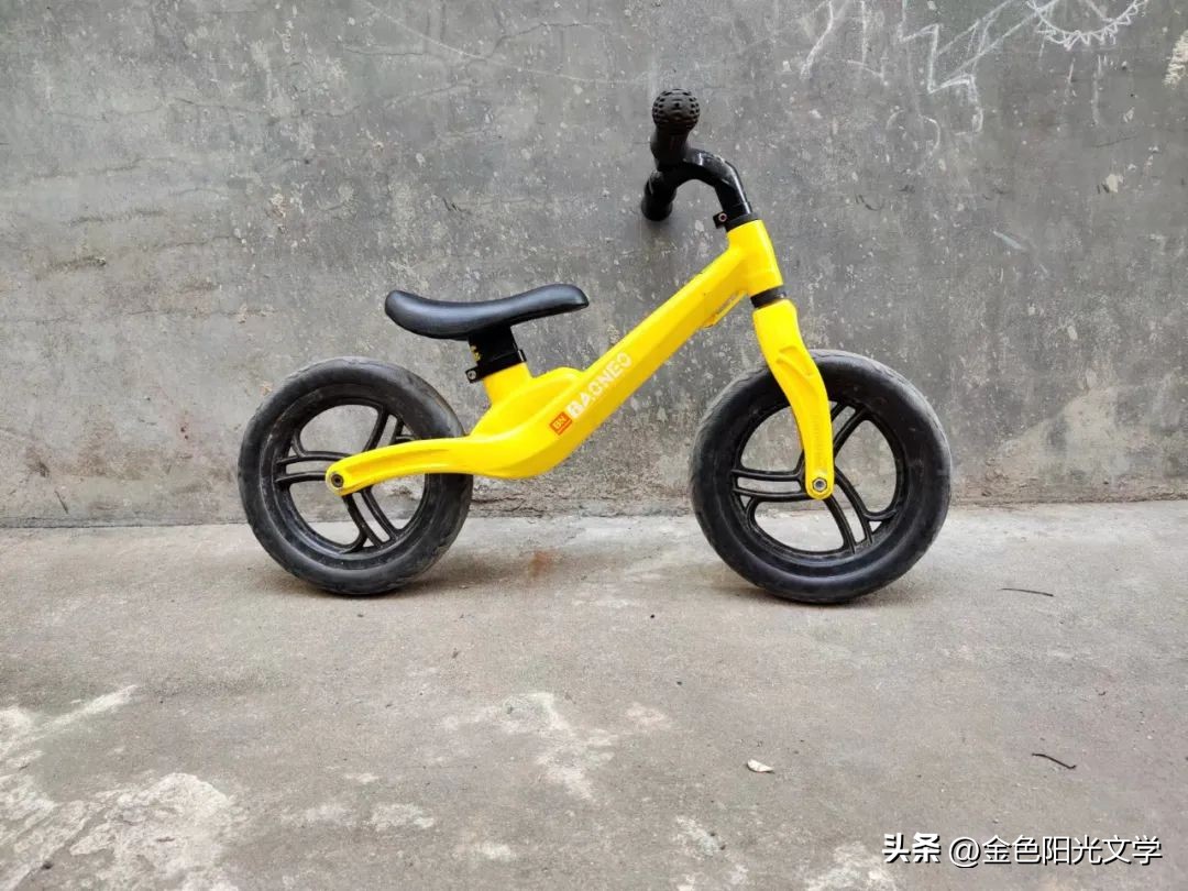 小学作文心爱之物点评,心爱之物300字作文