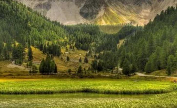 学习自媒体的机会,学习自媒体需要报培训班吗