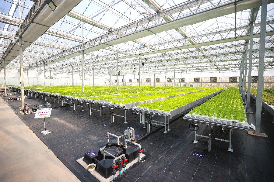 来浦口，品尝全南京最好吃的......