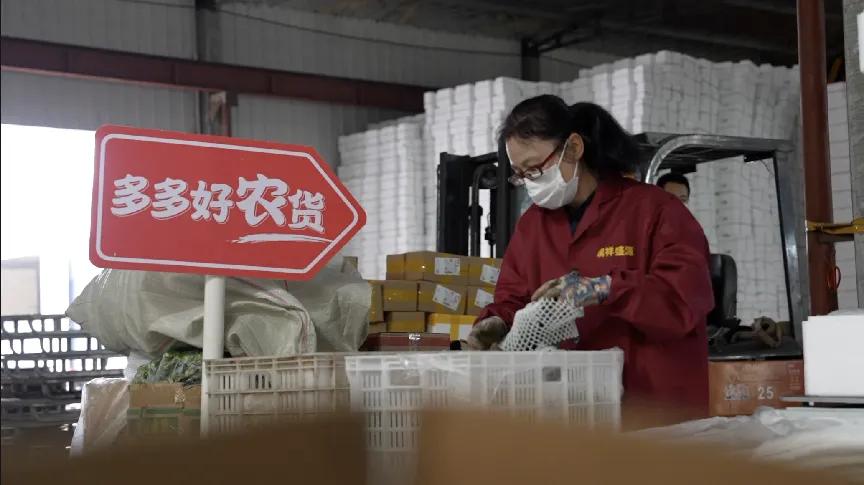 拼多多助农产品总产值,拼多多100亿助农