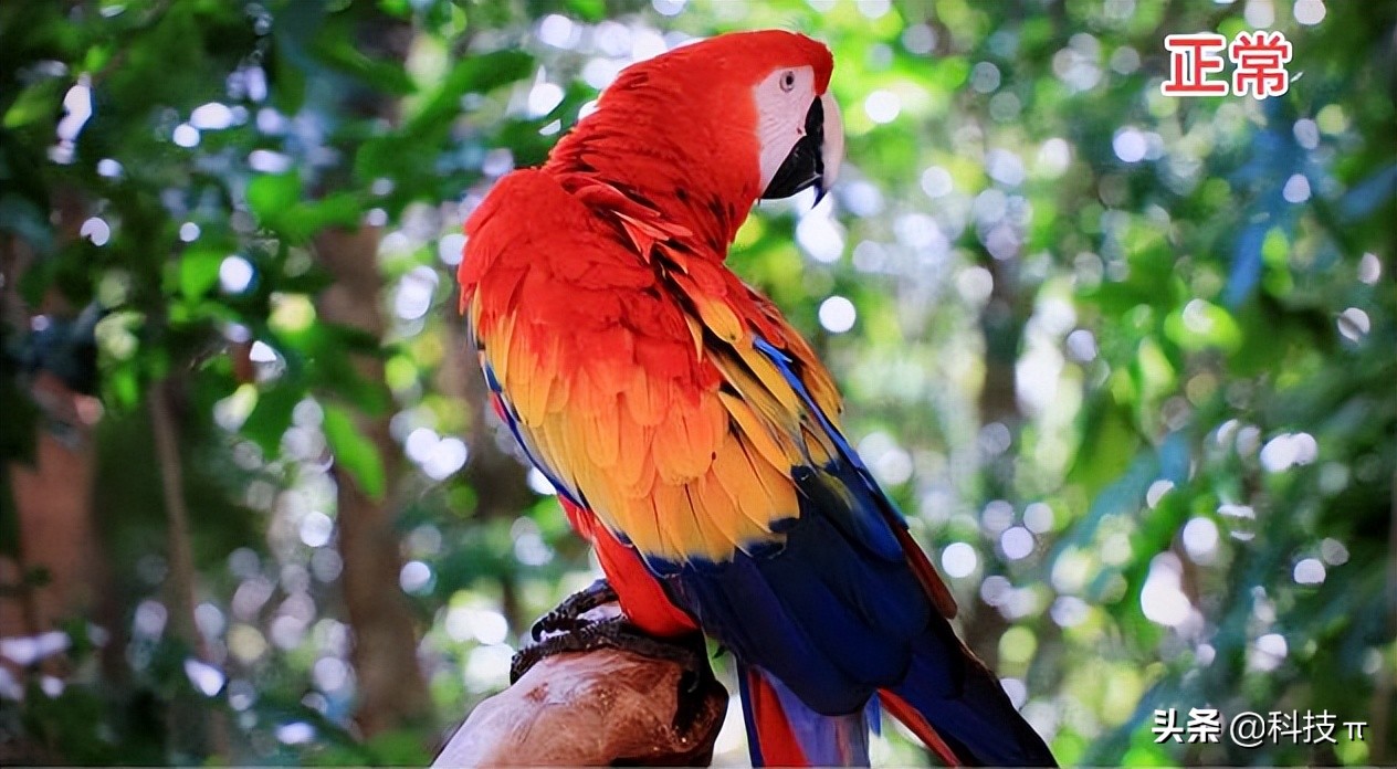 电视怎样调最佳图像,电视怎么调整显示比例