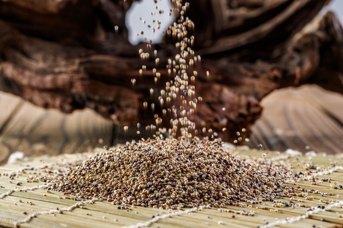 总是掉头发怎么办才能生长呢,总是掉头发怎么办是生病了吗