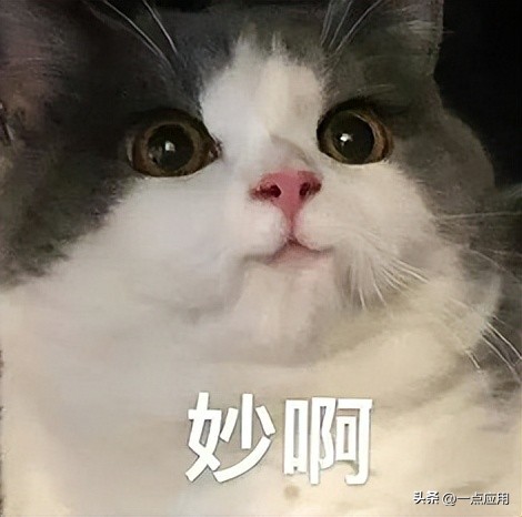 什么软件不用抠图直接换背景,一键抠图换背景软件免费版