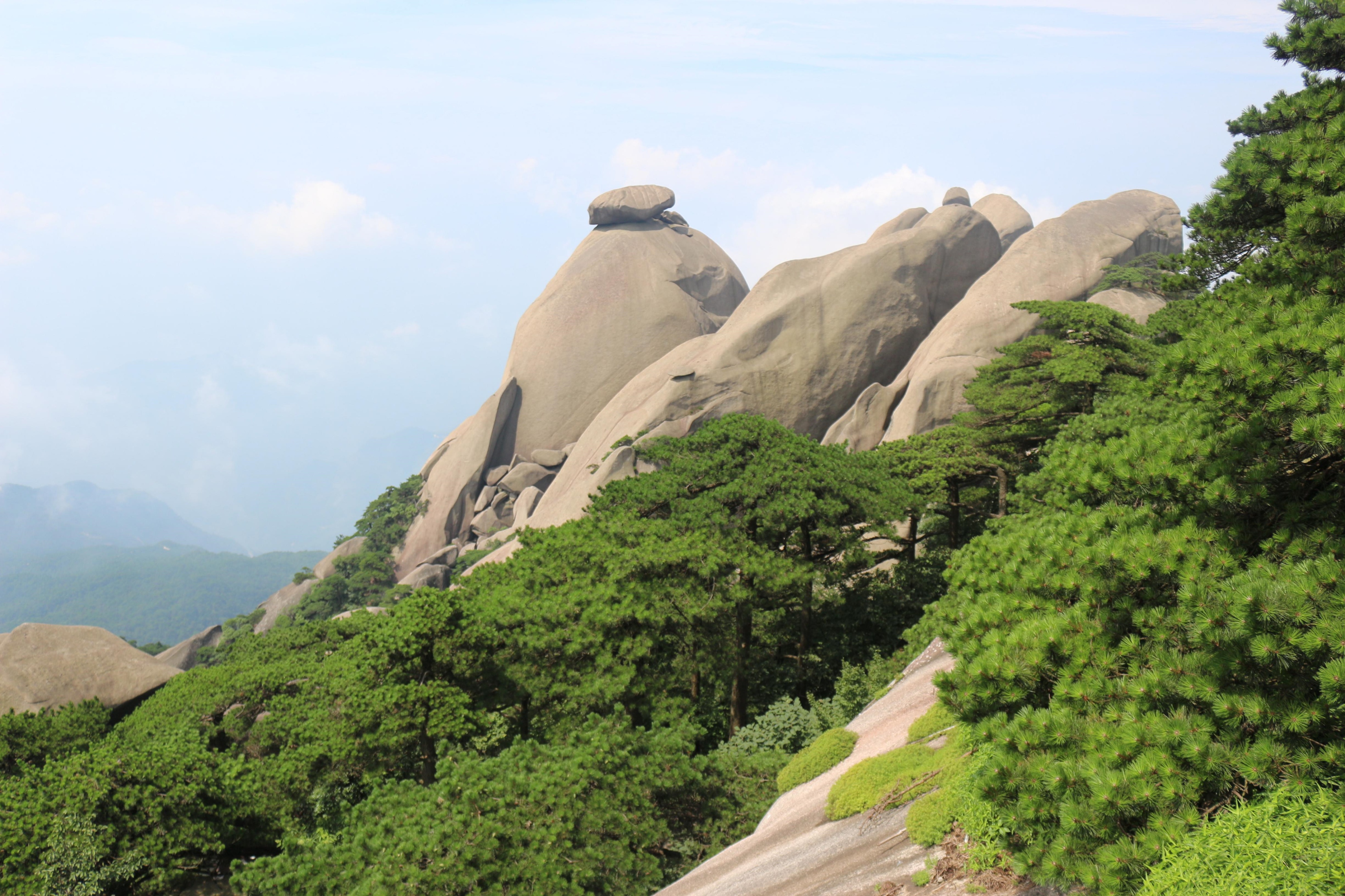 去天柱山必须得去游客中心吗,天柱山旅游跟团