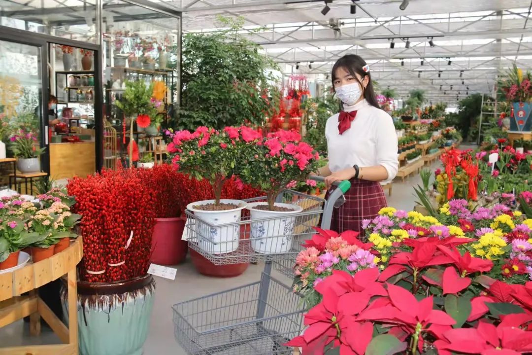 湖南“花二代”开园艺中心，线上一天卖花12万盆，年营业额超2000万元