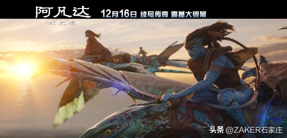 早新闻11.24|开这种车上路，交警必查！适老化改造托起“稳稳的幸福”；事关个人养老金，银保监会发布通知