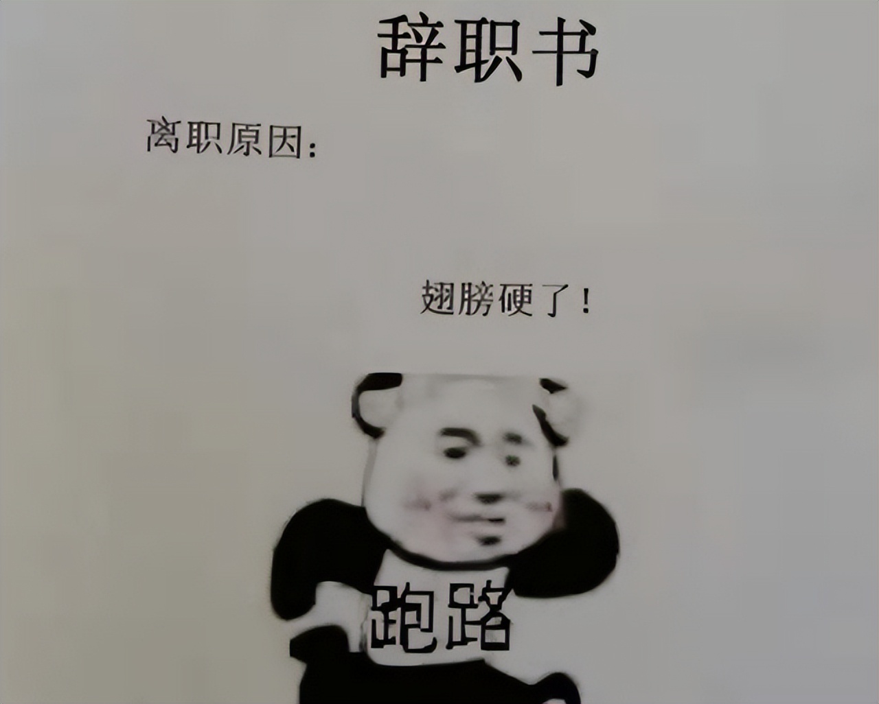 00后干不下去的辞职信咋写的,胃不好消化不了的辞职理由顺口溜