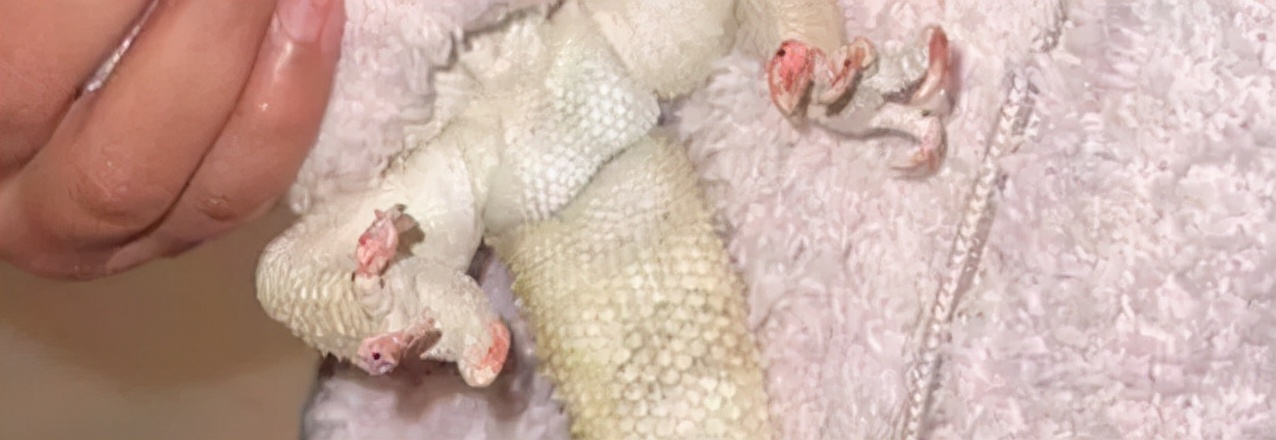 卡戴珊被吐槽,卡戴珊被批评作秀