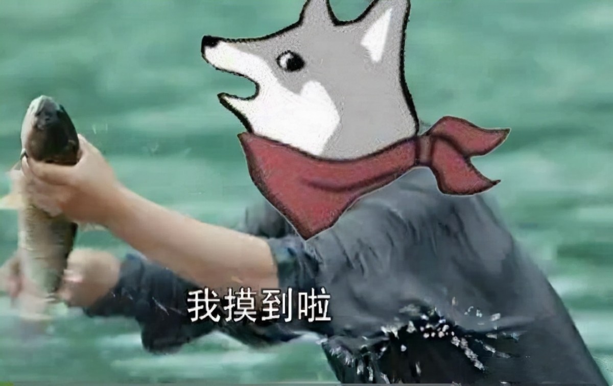 steam游戏50元以下3a大作冬虫,steam必买游戏3a大作价格