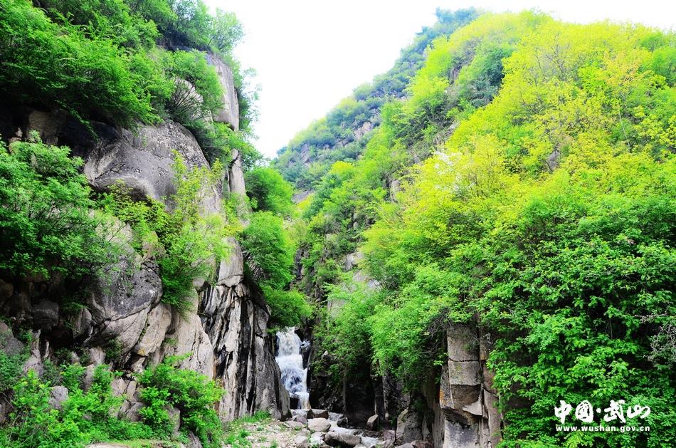 武山温泉线路图,武山温泉旅游景点推荐
