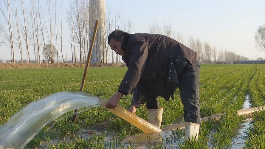 离谱！开天辟地头一遭，农民用黄河水浇地，竟然也要收费了？