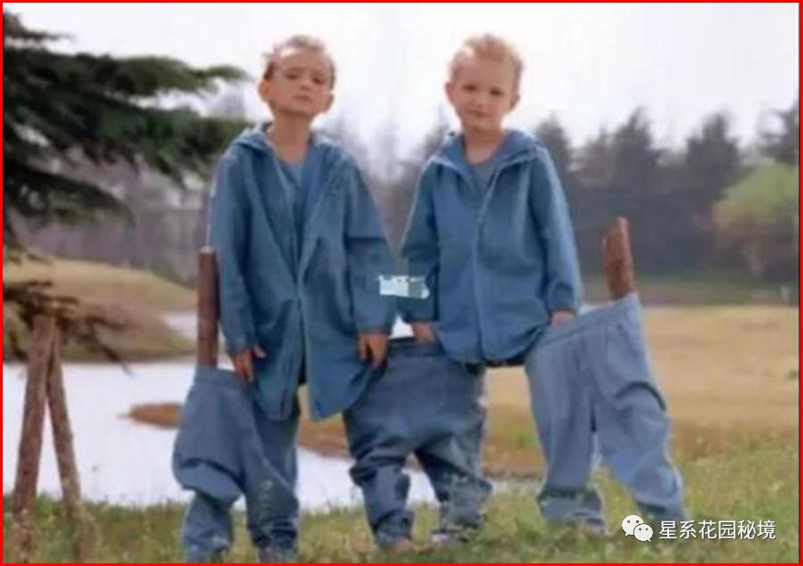 比人教版插图更恐怖的书,比人教版插图还怪异的书