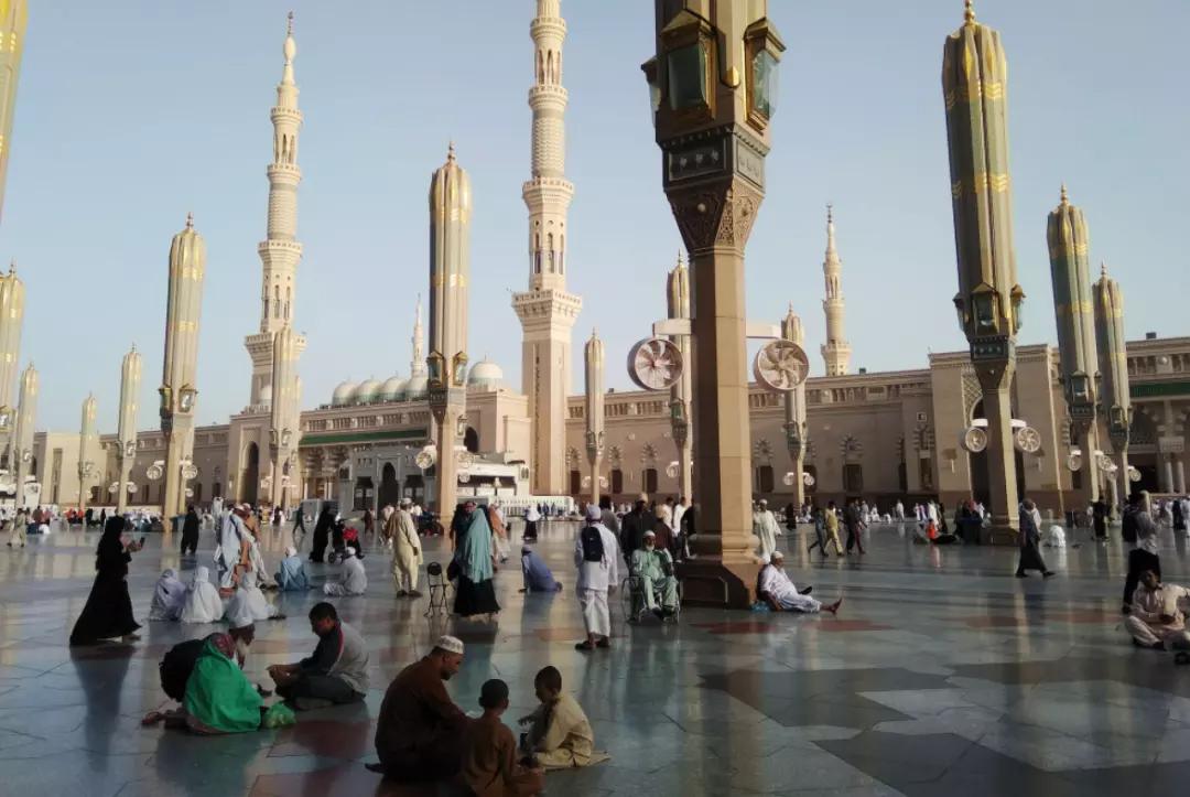 下一个PatPat？童装品牌Hibobi如何占领中东千亿市场