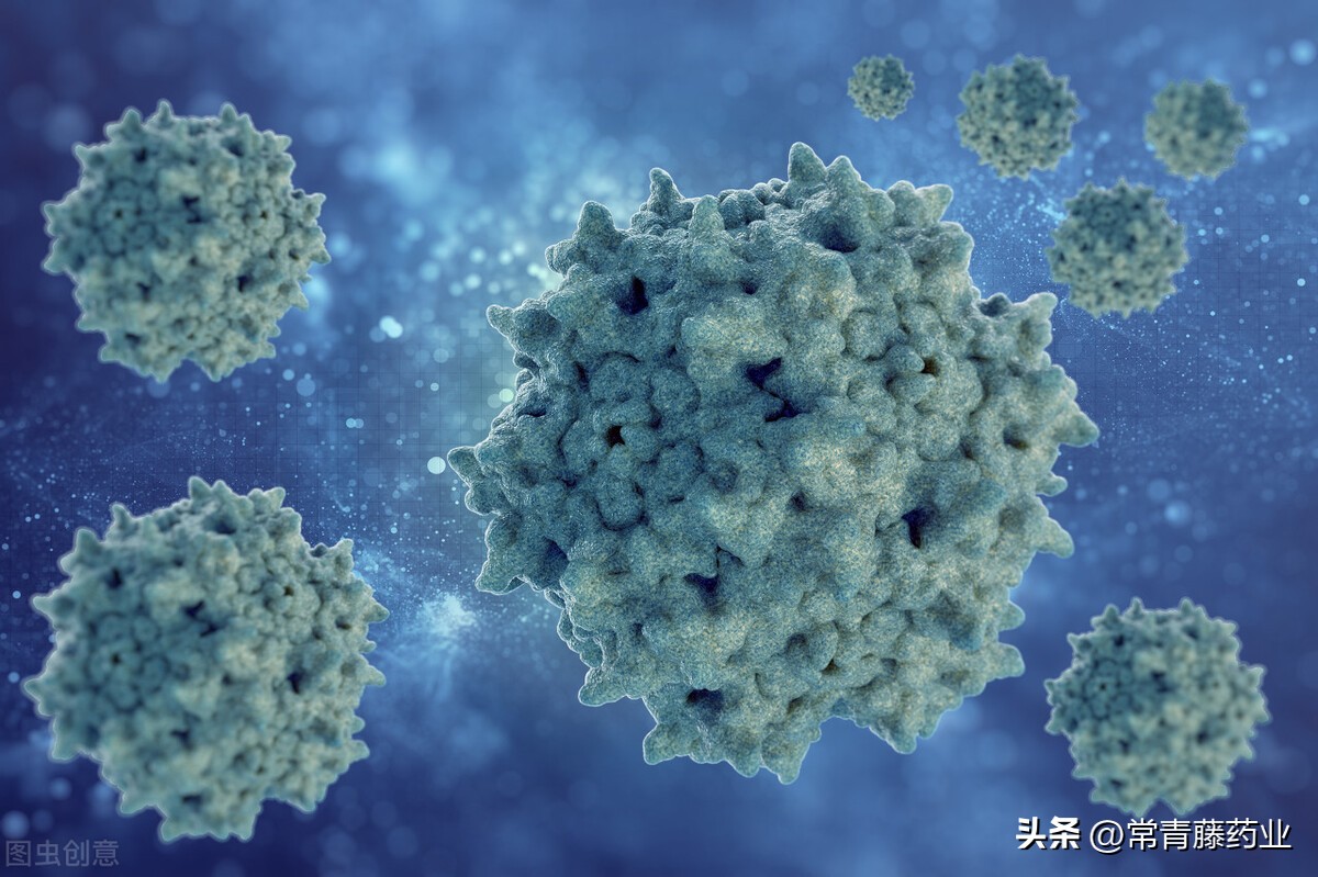 恩替卡韦与干扰素抗病毒哪个好,乙肝药恩替卡韦和替诺福韦哪个好