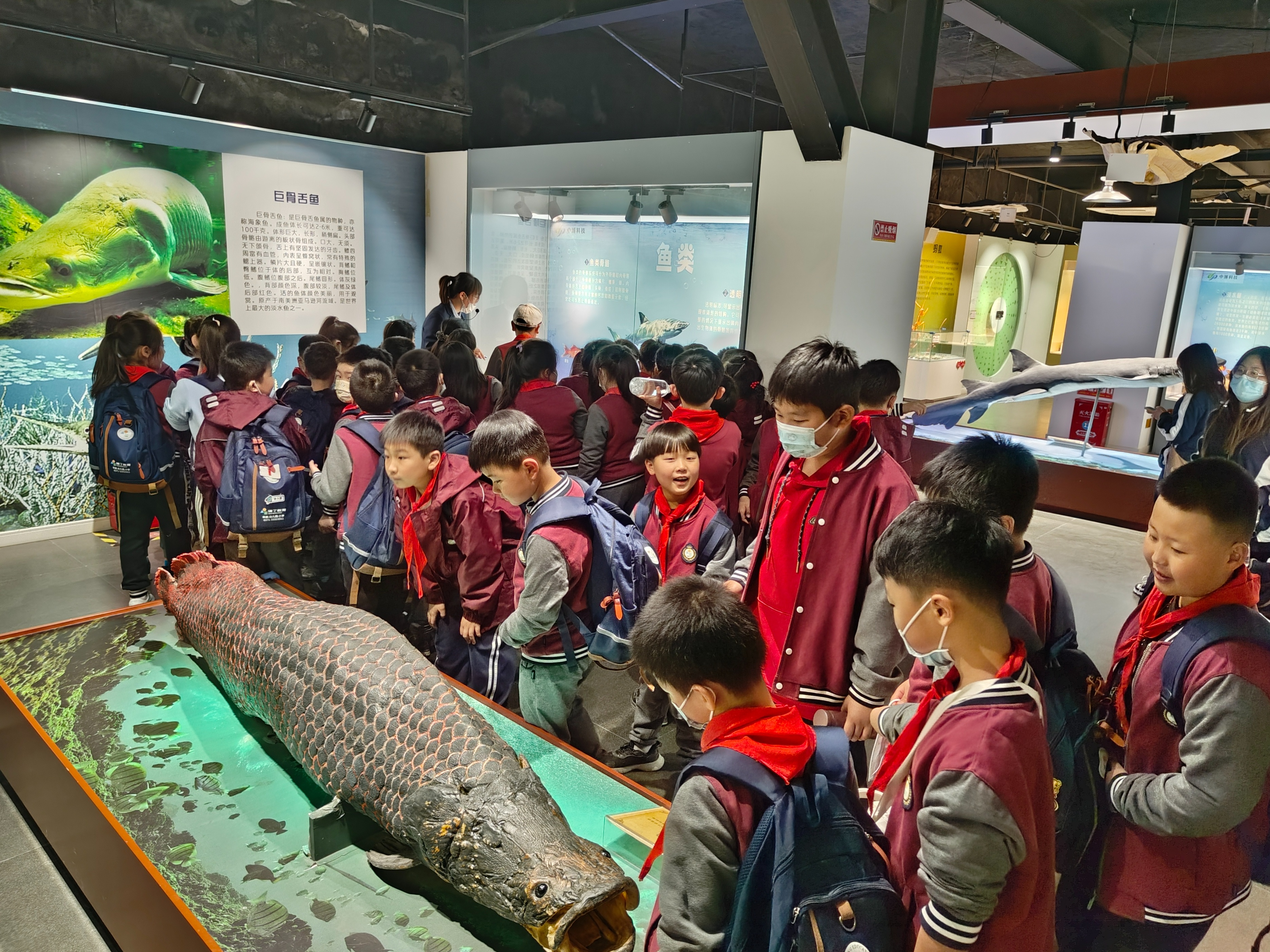 郑州旅游景区最新政策,郑州园博园买半价门票