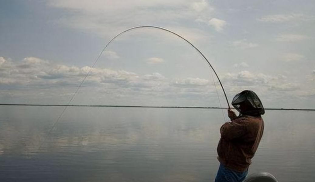 石头填海养海参小伙近况,大连小伙养殖海参