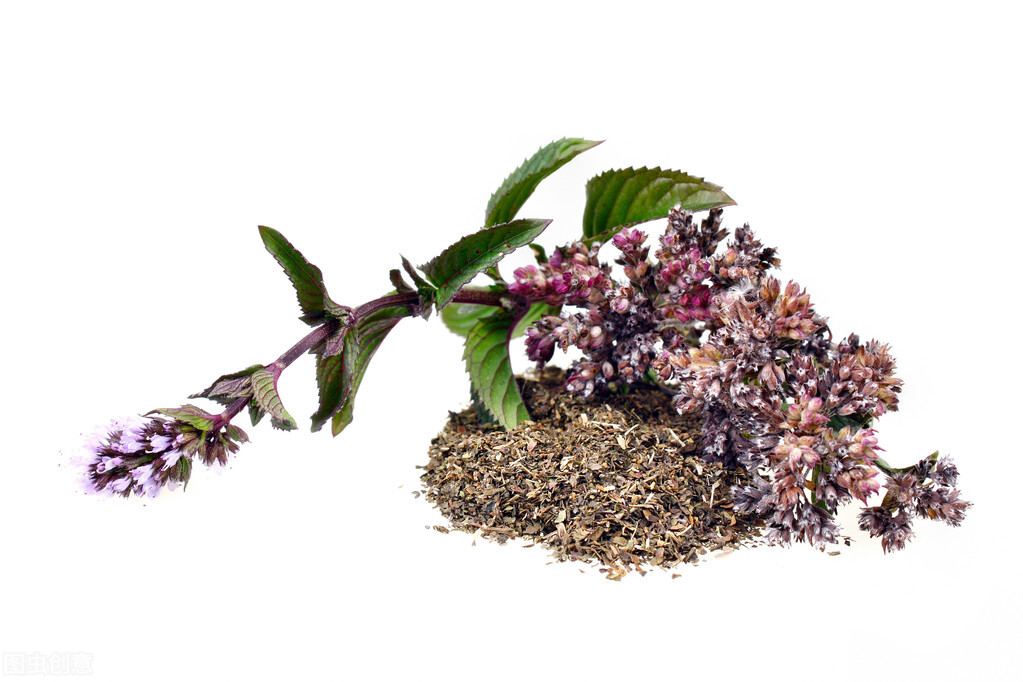 薄荷有收缩毛孔作用吗,绿茶薄荷可以蒸脸吗