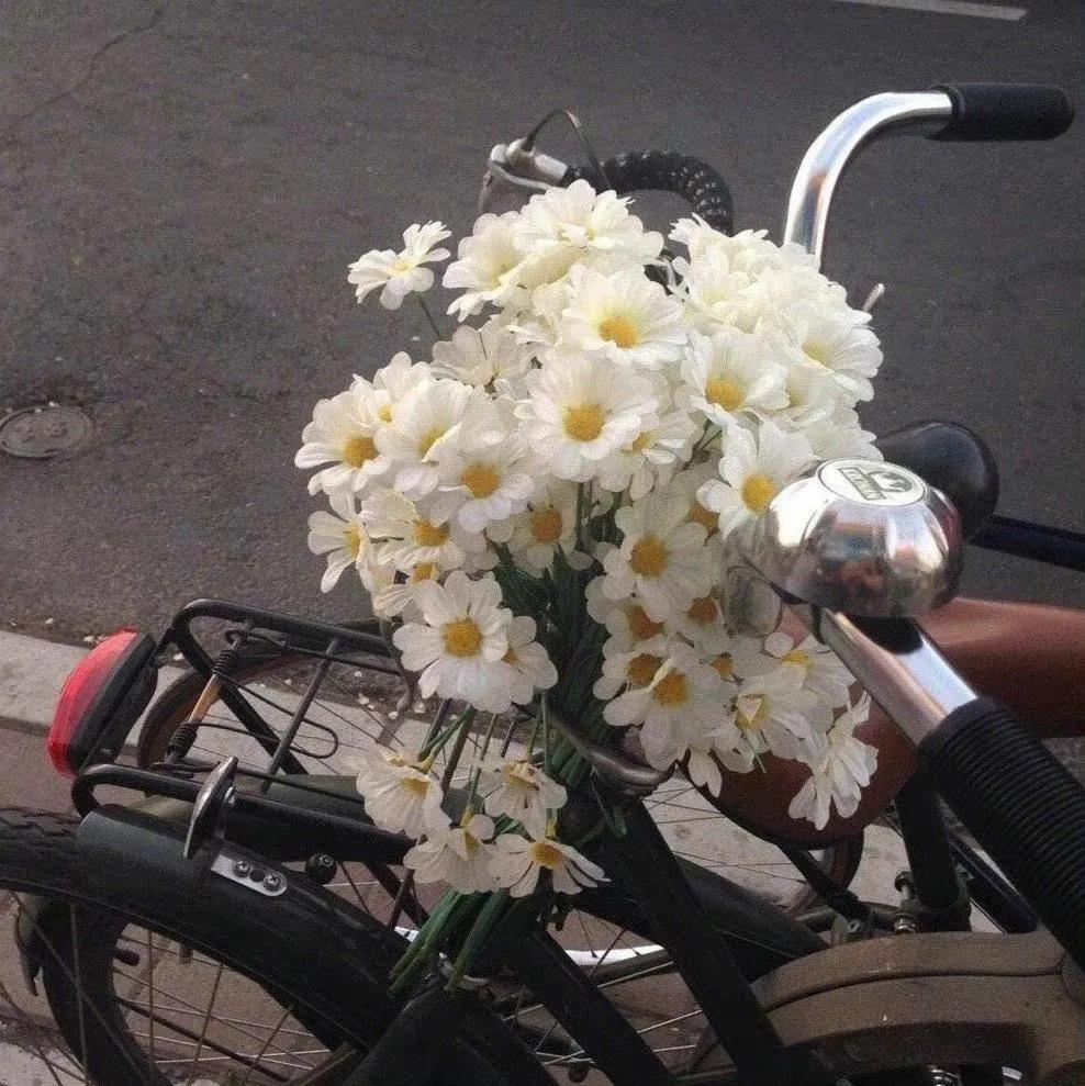 聚散随缘半点不由人,聚散无时终有时