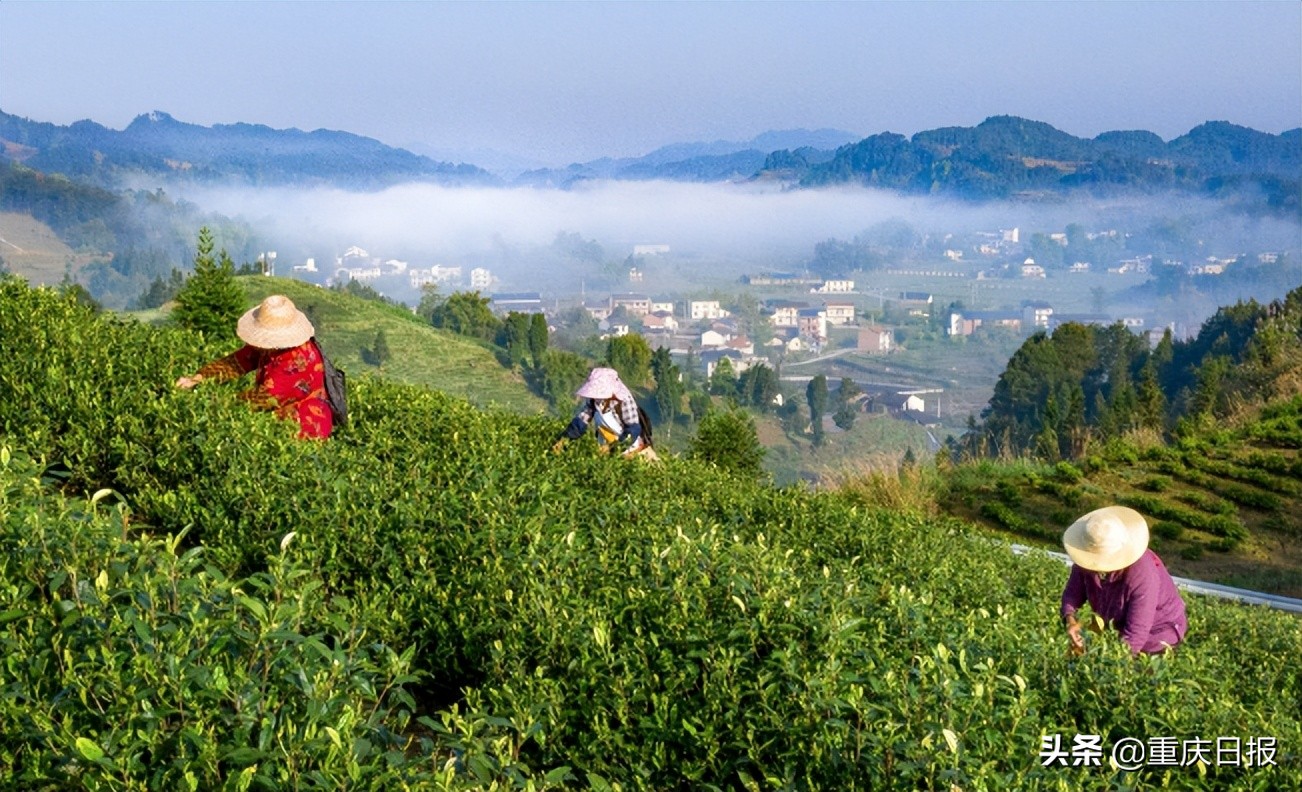 变则通善于变通,变则通顺其自然