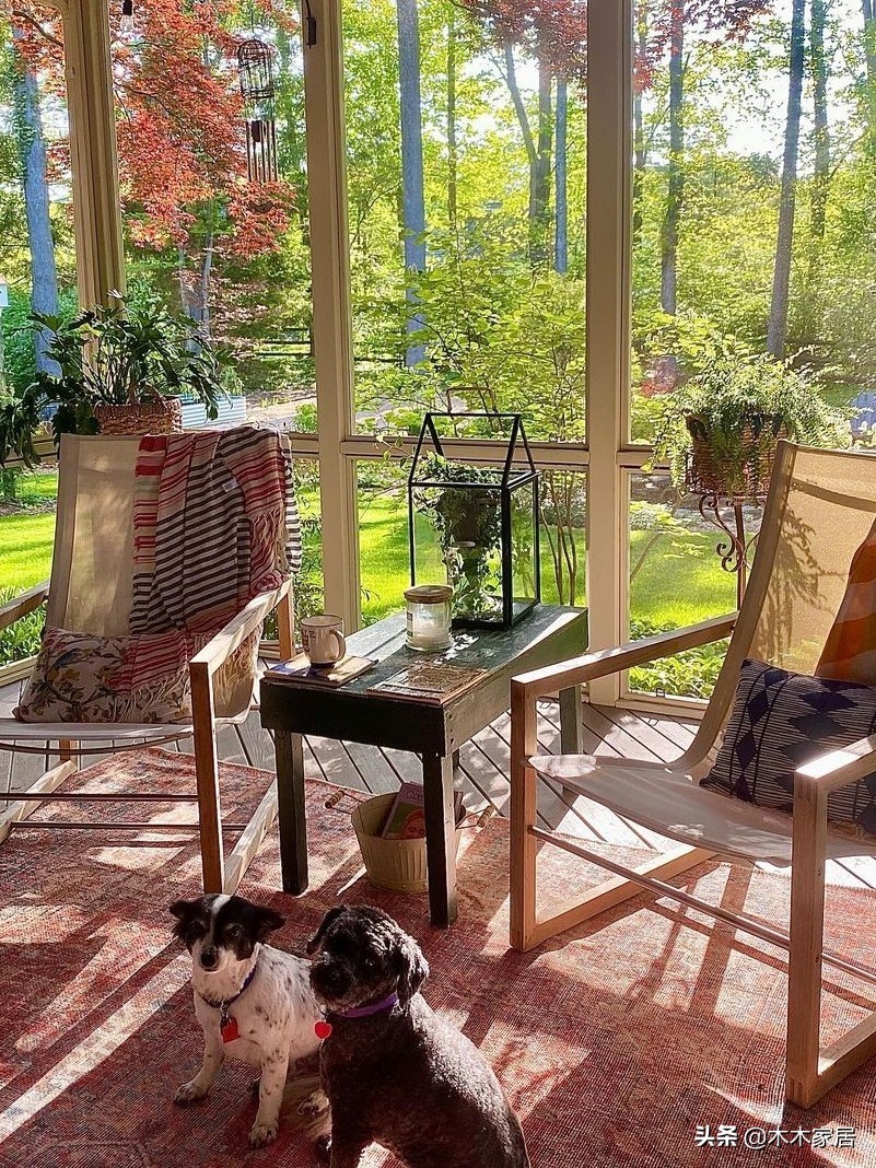 看看你家客厅的绿植效果图,大白墙绿植客厅高级感