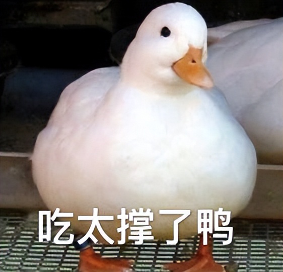 吃米饭和吃馒头哪个减肥,减肥吃馒头和米饭哪个热量高