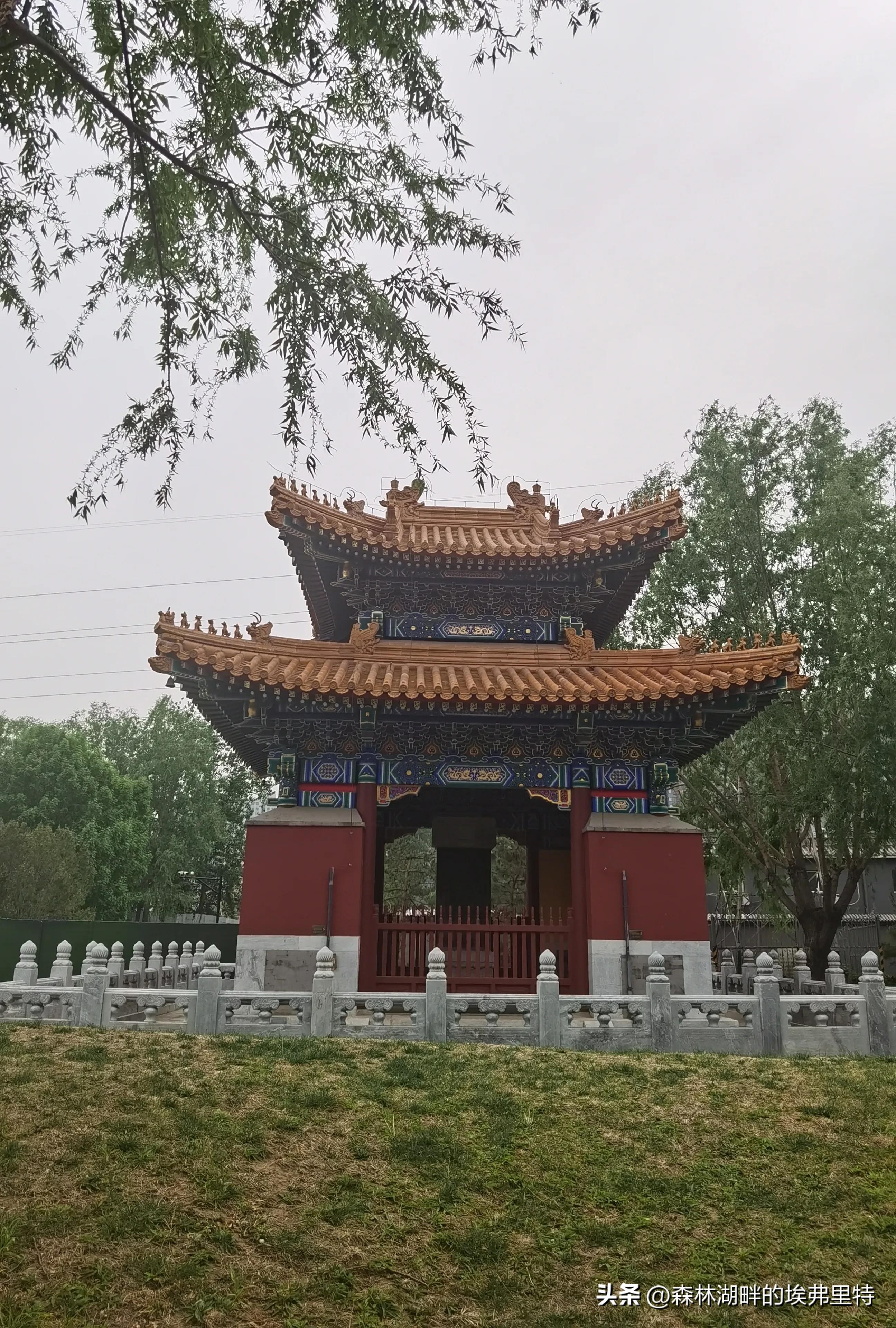 北京庆丰公园里的“神木”