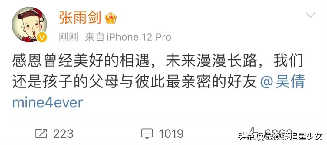 隐婚生娃小说全文,隐婚后离婚生子