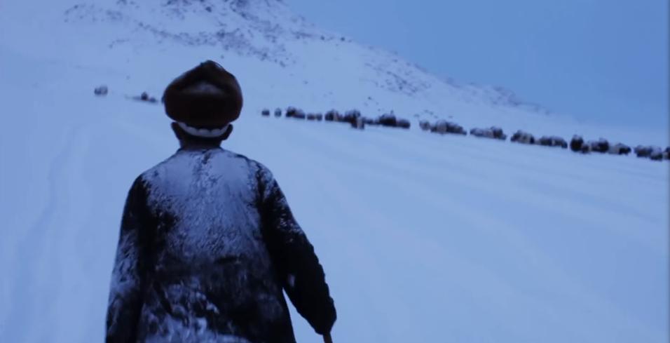 吉尔吉斯人：用100头羊换老婆，没羊男人只能孤独终老