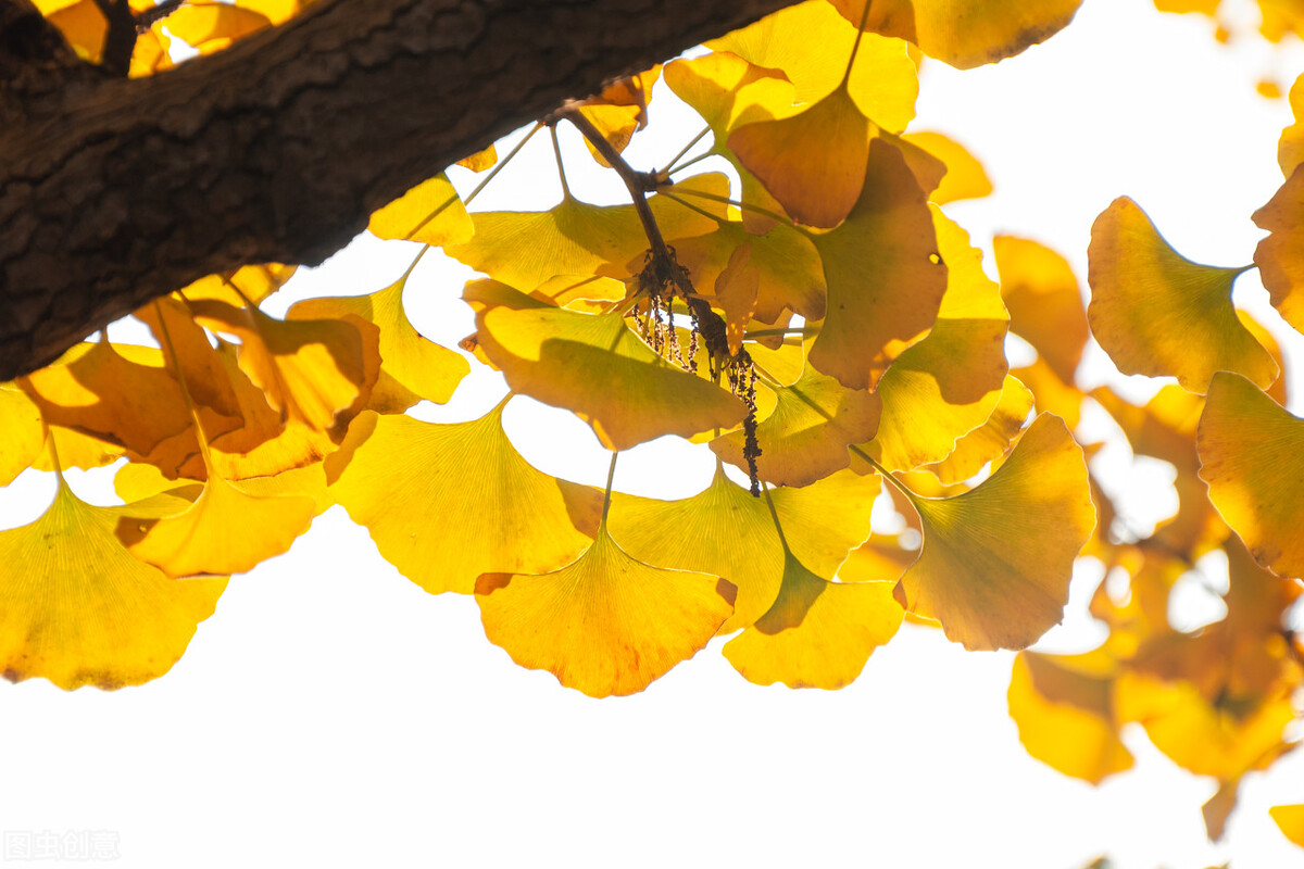 余生以适合自己的方式好好活下去,余生很贵选择自己舒服的方式生活