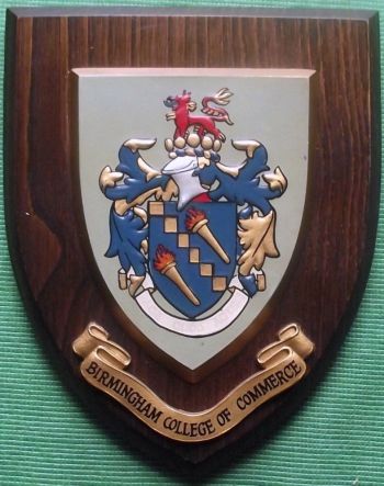 虎年说虎的文章,虎年限定分别代表的老虎