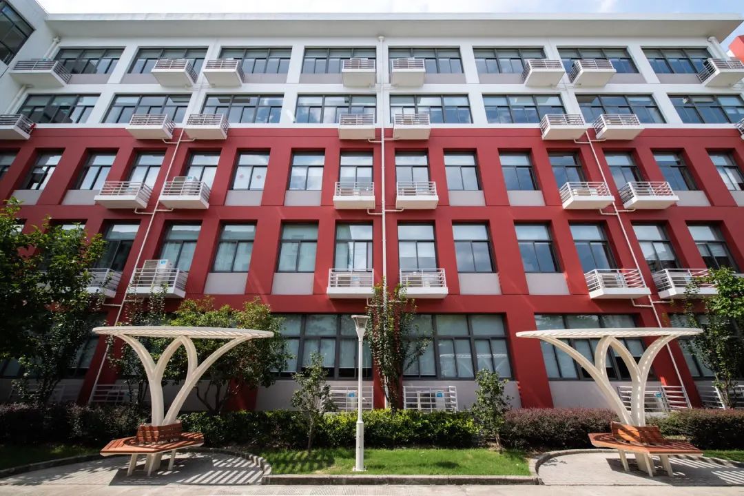 上海市世界外国语高中,2023上海国际学校四校八大