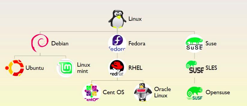 官网安装centoslinux系统,centos和红帽的linux有什么区别