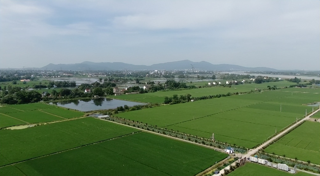 农田集约化管理,农田发展新模式