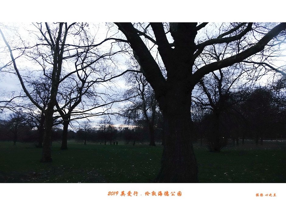 伦敦海德公园英国最大的皇家公园,浮光掠影免费阅读全文