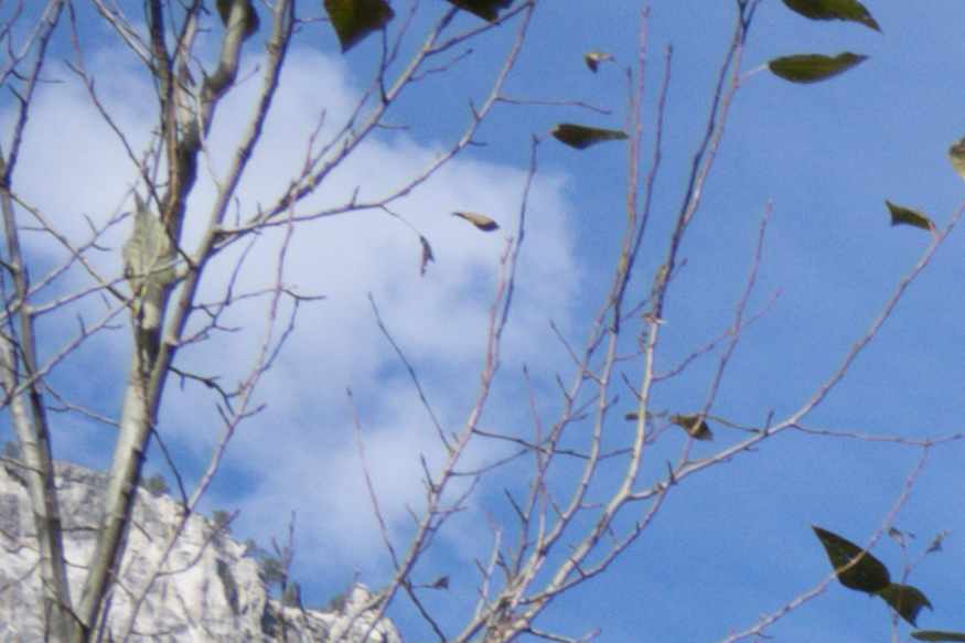 尼康z24-120f4s使用体验,尼康z100-400评测