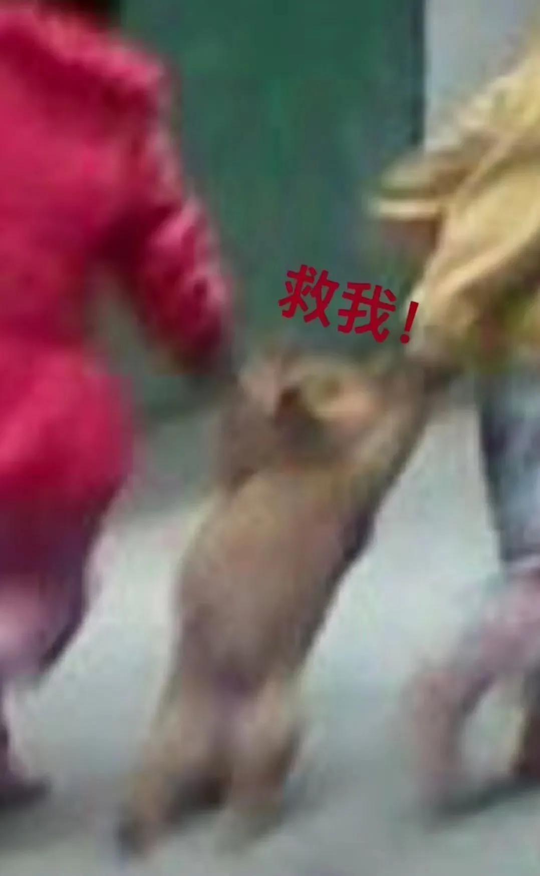 有人说你长得搞笑怎么回 (爆笑问答承担你一天的笑点)