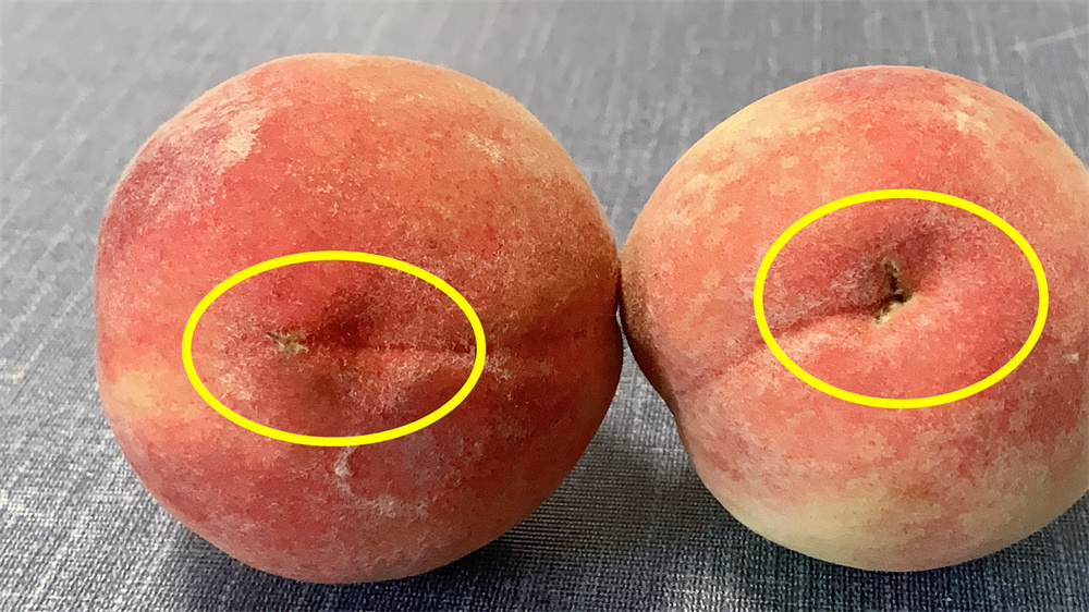 挑选桃子的正确方式,你知道如何正确挑选水果吗