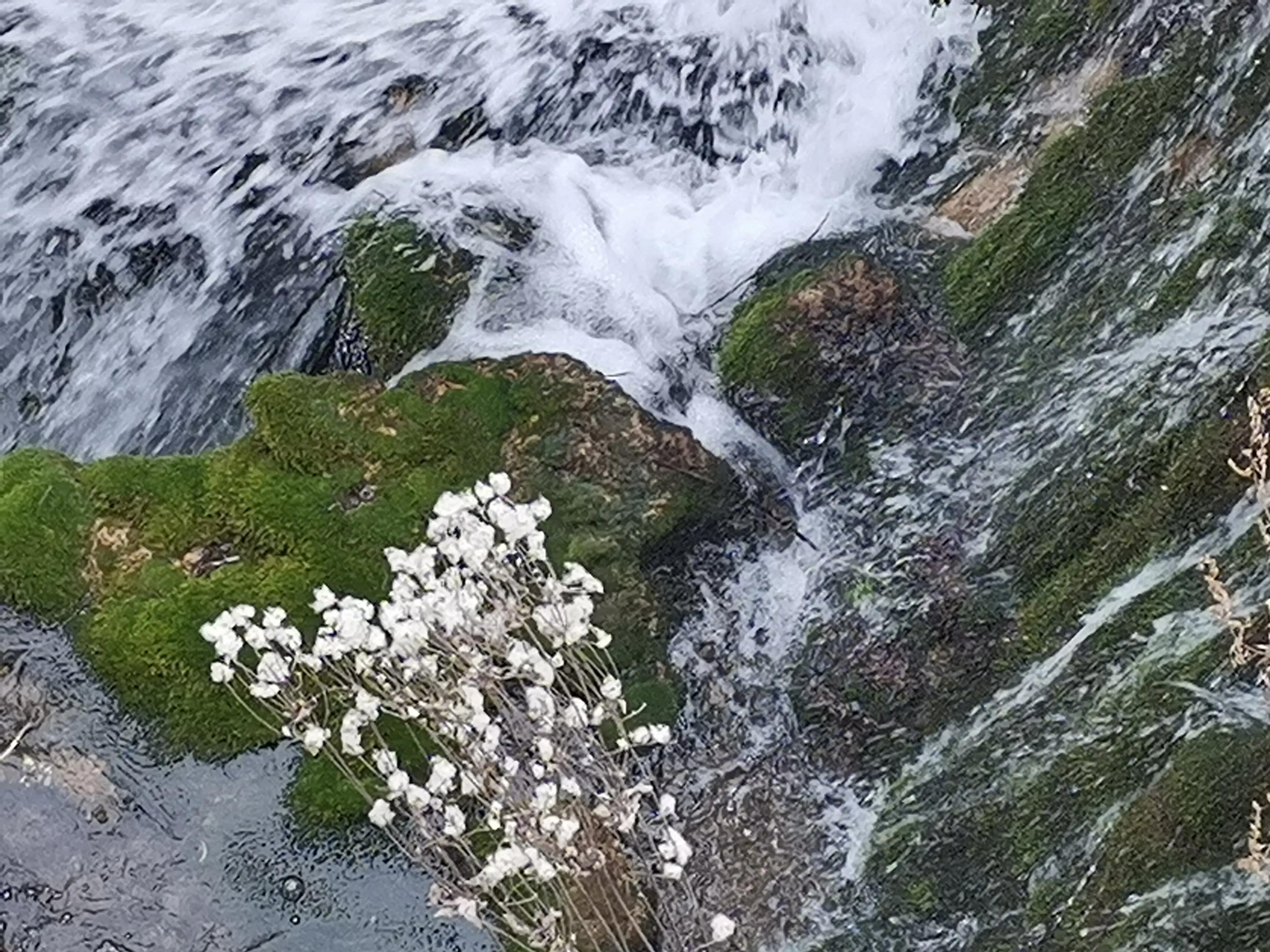忽忽水冰瀑好玩吗,2017年1月赏冰瀑