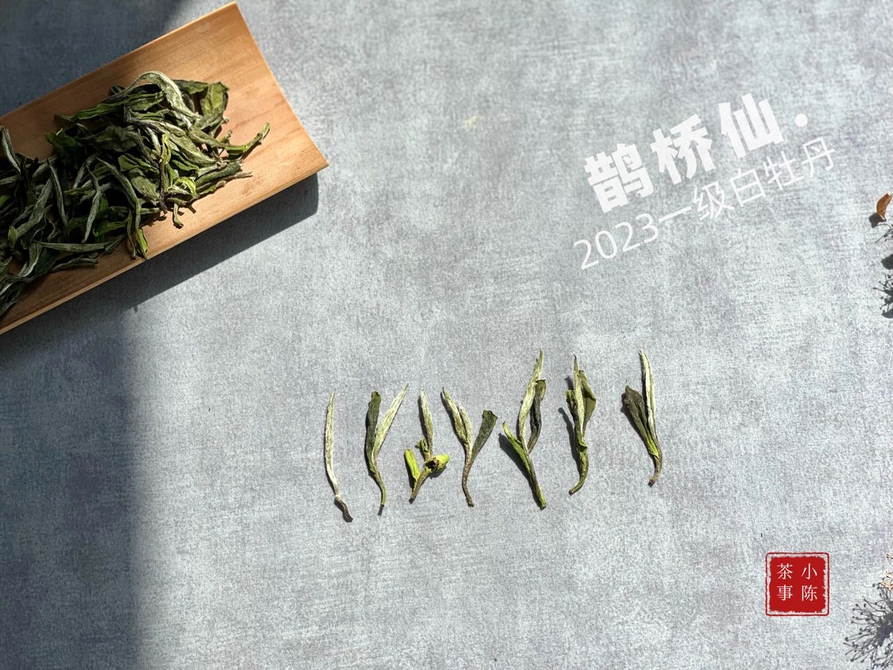 新手如何选新白茶,只需4步教你分辨白茶好坏