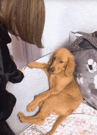 地铁时髦的上海阿姨,上海地铁阿姨的塑料袋